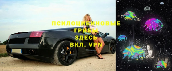 Альфа ПВП Богородицк