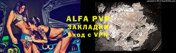 ешки Богданович