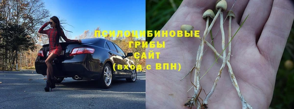 Альфа ПВП Богородицк