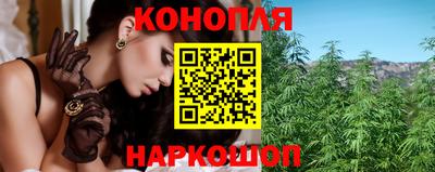 ешки Гай