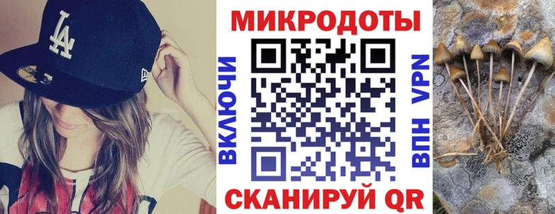 Псилоцибиновые грибы MAGIC MUSHROOMS  Минеральные Воды 