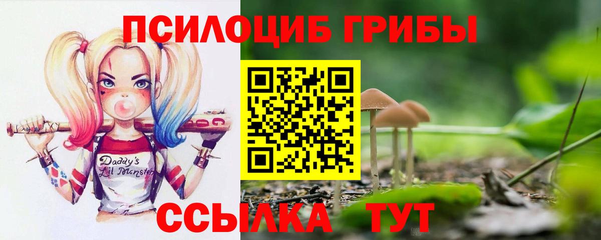 Минеральные Воды  цена наркотик  Вход с VPN  Псилоцибиновые грибы мухоморы  Псилоцибиновые грибы GOLDEN TEACHER 